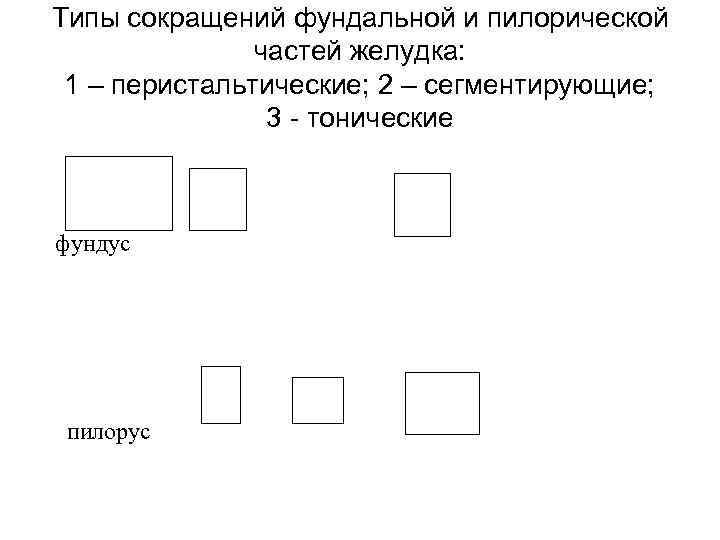 Типы сокращений фундальной и пилорической частей желудка: 1 – перистальтические; 2 – сегментирующие; 3