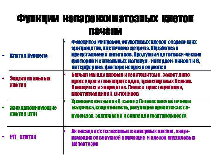 Функции непаренхиматозных клеток печени • • Клетки Купфера • Эндотелиальные клетки • • Жир