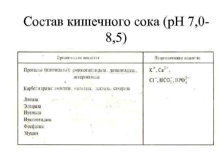 Состав кишечного сока (p. H 7, 08, 5) 