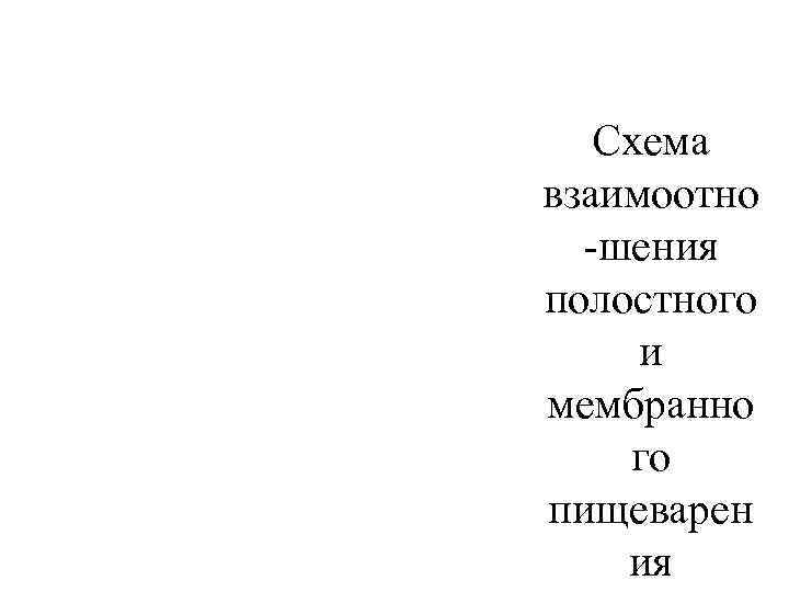 Схема взаимоотно -шения полостного и мембранно го пищеварен ия 