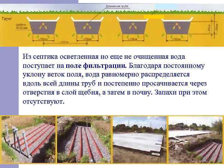 Из септика осветленная но еще не очищенная вода поступает на поле фильтрации. Благодаря постоянному
