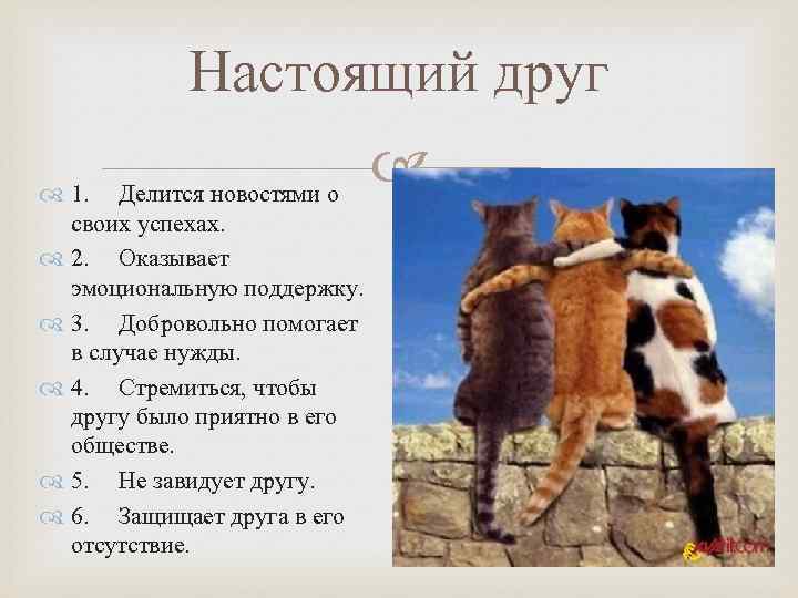 Настоящий друг 1. Делится новостями о своих успехах. 2. Оказывает эмоциональную поддержку. 3. Добровольно