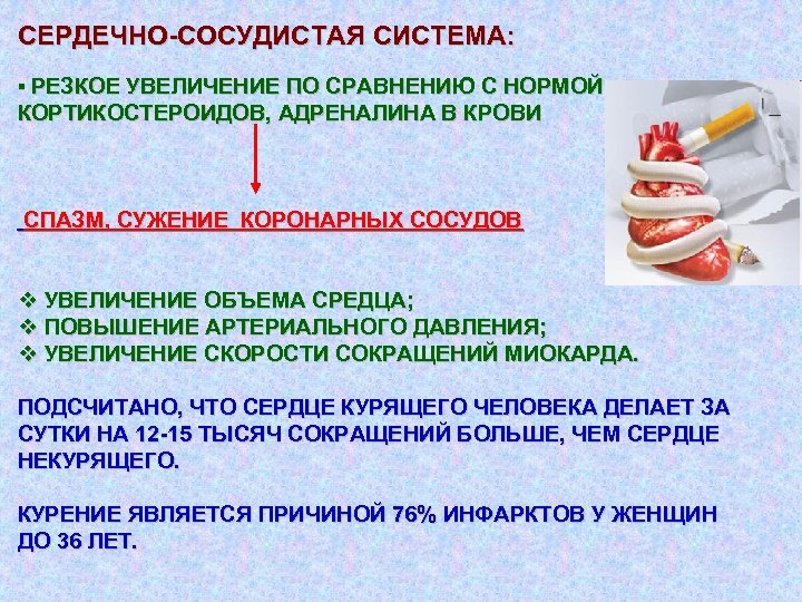 СЕРДЕЧНО-СОСУДИСТАЯ СИСТЕМА: § РЕЗКОЕ УВЕЛИЧЕНИЕ ПО СРАВНЕНИЮ С НОРМОЙ КОРТИКОСТЕРОИДОВ, АДРЕНАЛИНА В КРОВИ СПАЗМ,