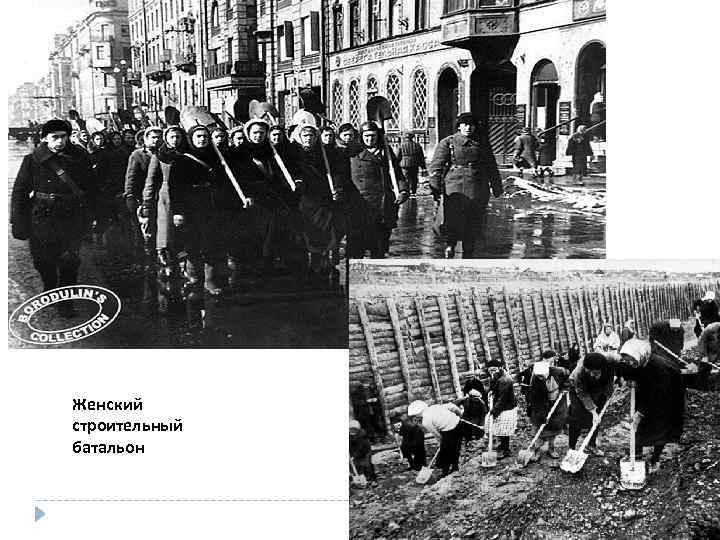 Женский строительный батальон 