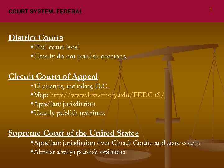 COURT SYSTEM: FEDERAL District Courts • Trial court level • Usually do not publish