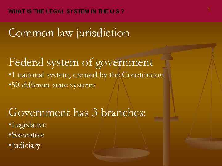 WHAT IS THE LEGAL SYSTEM IN THE U. S. ? Common law jurisdiction Federal