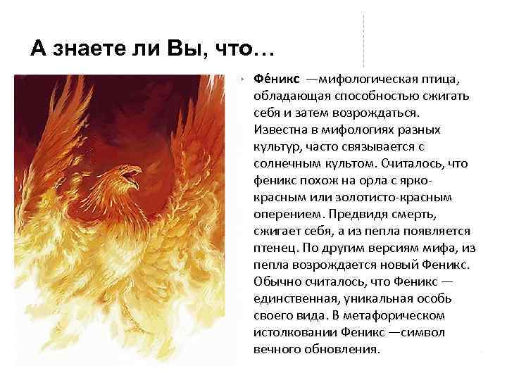 А знаете ли Вы, что… Фе никс —мифологическая птица, обладающая способностью сжигать себя и