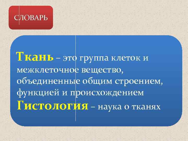 СЛОВАРЬ Ткань – это группа клеток и межклеточное вещество, объединенные общим строением, функцией и