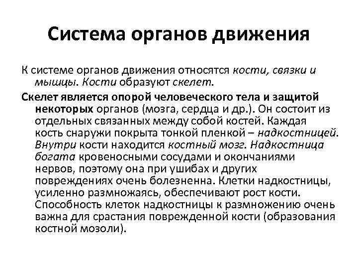 Система органов движения К системе органов движения относятся кости, связки и мышцы. Кости образуют