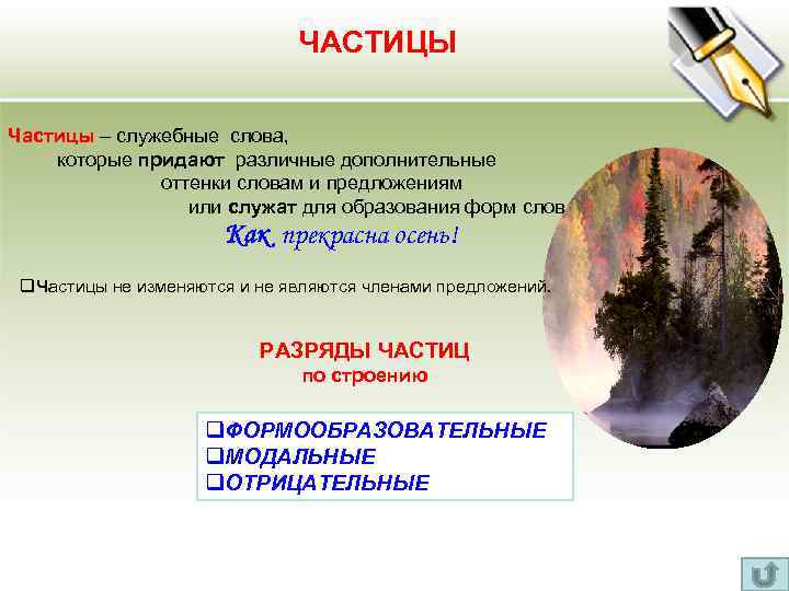 ЧАСТИЦЫ Частицы – служебные слова, которые придают различные дополнительные оттенки словам и предложениям или