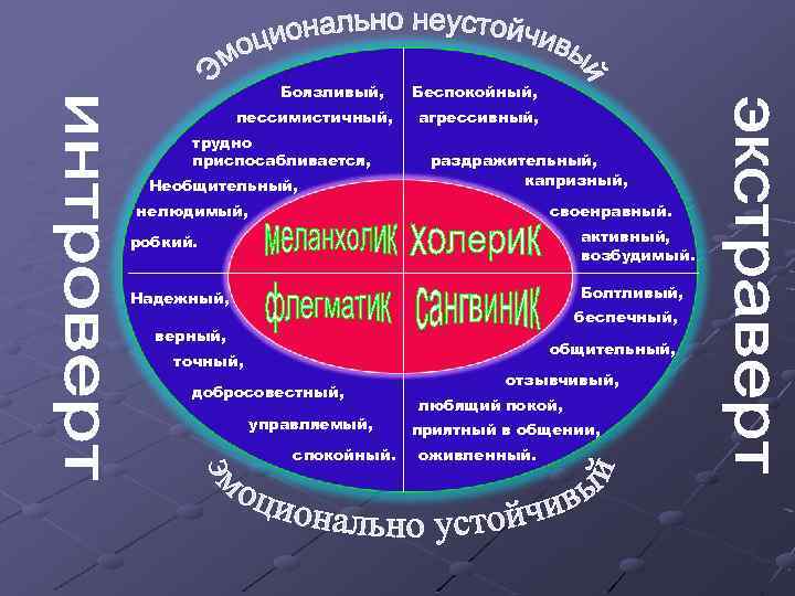 Боязливый, пессимистичный, трудно приспосабливается, Необщительный, Беспокойный, агрессивный, раздражительный, капризный, нелюдимый, своенравный. робкий. активный, возбудимый.