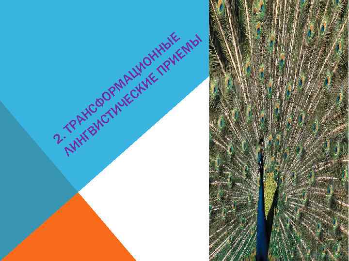 Е Ы НЫ ЕМ ОН РИ ЦИ Е П А И РМ СК ФО