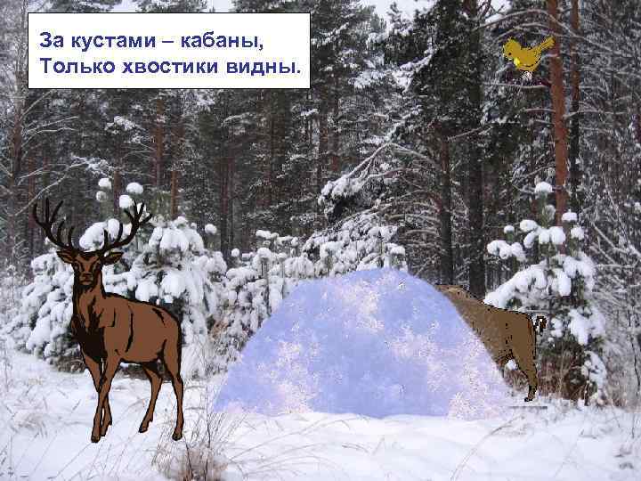 За кустами – кабаны, Только хвостики видны. 