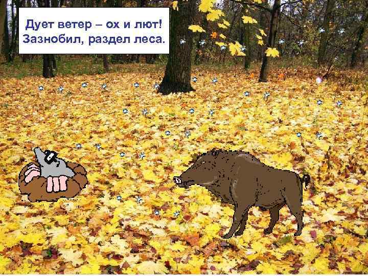 Дует ветер – ох и лют! Зазнобил, раздел леса. 