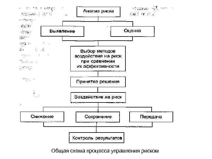 Общая схема процесса управления риском 