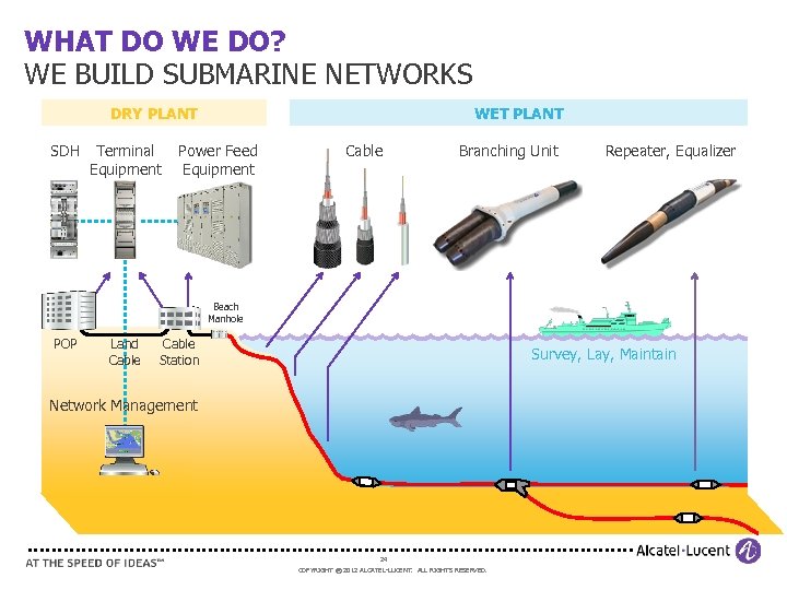 WHAT DO WE DO? WE BUILD SUBMARINE NETWORKS DRY PLANT SDH Terminal Equipment WET