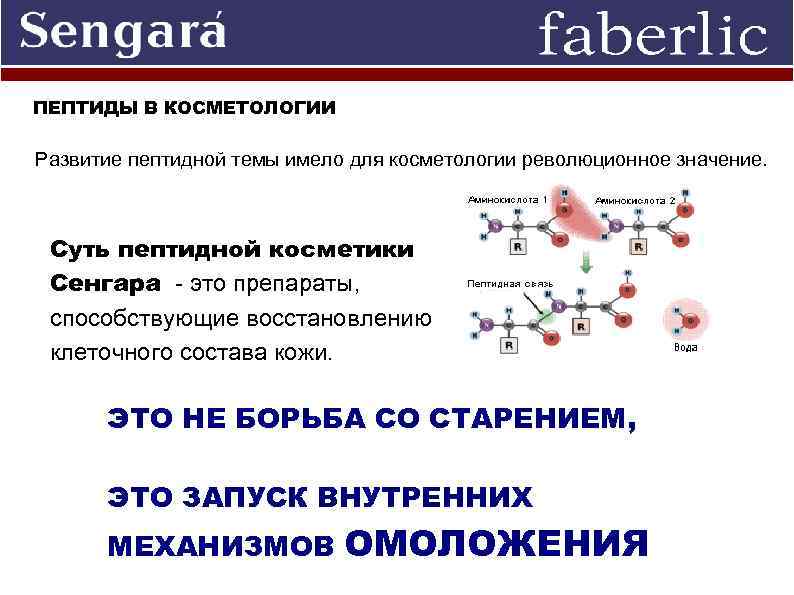 Полипептид это. Пептиды олигопептиды полипептиды. Классификация пептидов в косметологии. Пептиды и полипептиды в косметологии. Пептиды и аминокислоты в косметологии.