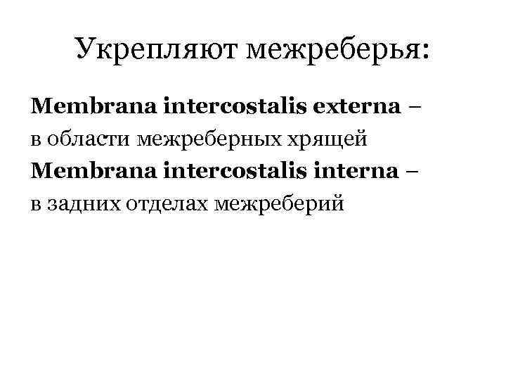 Укрепляют межреберья: Membrana intercostalis externa – в области межреберных хрящей Membrana intercostalis interna –