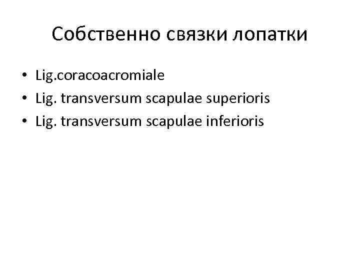 Собственно связки лопатки • Lig. coracoacromiale • Lig. transversum scapulae superioris • Lig. transversum