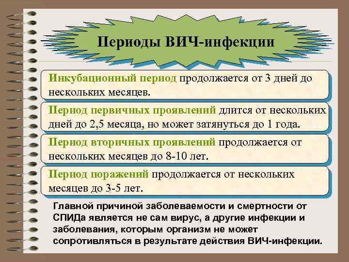 Периоды ВИЧ-инфекции Инкубационный период продолжается от 3 дней до нескольких месяцев. Период первичных проявлений