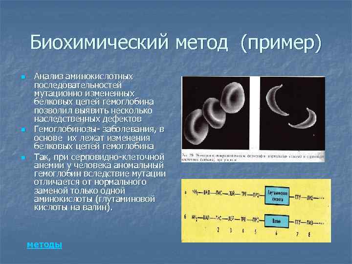 Биохимический метод (пример) n n n Анализ аминокислотных последовательностей мутационно измененных белковых цепей гемоглобина