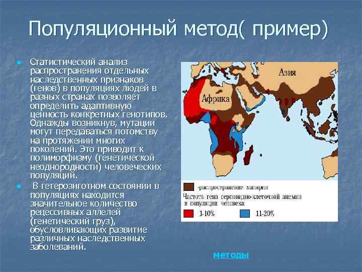 Популяционный метод( пример) n n Статистический анализ распространения отдельных наследственных признаков (генов) в популяциях