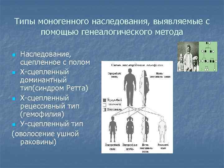 Типы моногенного наследования, выявляемые с помощью генеалогического метода Наследование, сцепленное с полом n Х-сцепленный