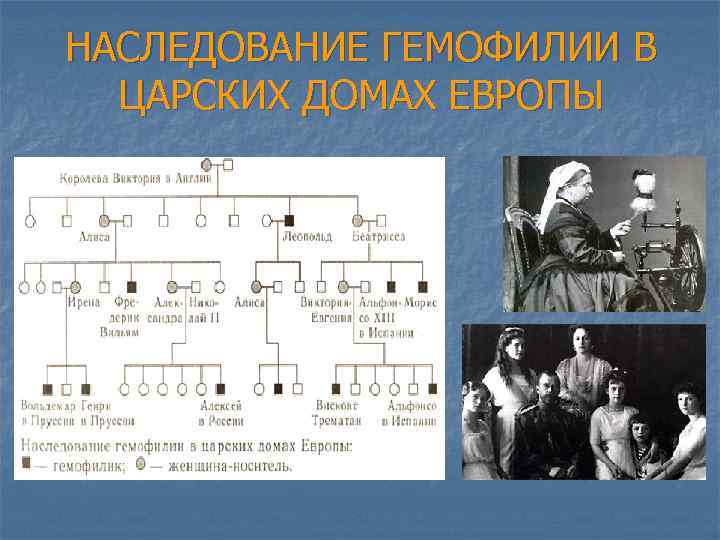 НАСЛЕДОВАНИЕ ГЕМОФИЛИИ В ЦАРСКИХ ДОМАХ ЕВРОПЫ 