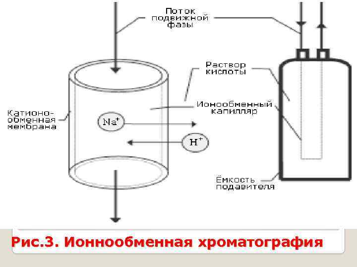 Рис. 3. Ионнообменная хроматография 