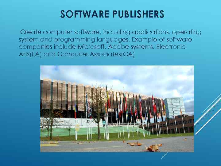 SOFTWARE PUBLISHERS Create computer software, including applications, operating system and programming languages. Example of