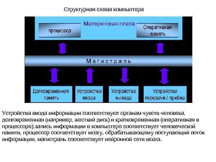 Структурная схема компьютера Устройства ввода информации соответствуют органам чувств человека, долговременная (например, жесткий диск)