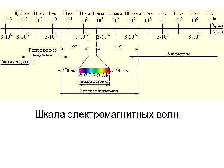 Шкала электромагнитных волн. 