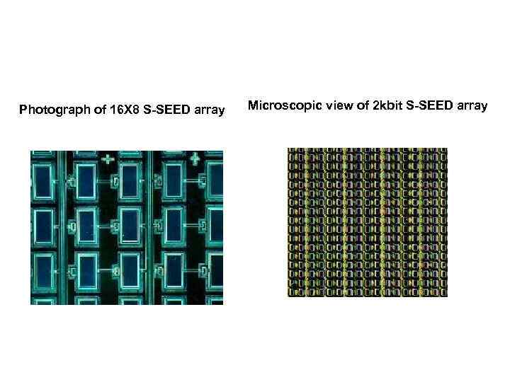 Photograph of 16 X 8 S-SEED array Microscopic view of 2 kbit S-SEED array