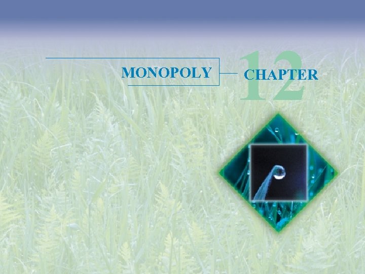 MONOPOLY 12 CHAPTER 