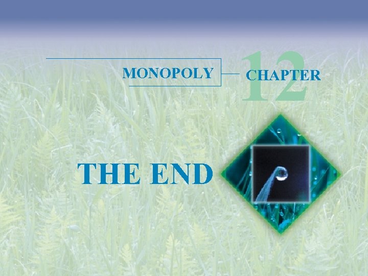 MONOPOLY THE END 12 CHAPTER 