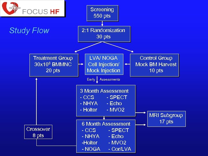 Screening 550 pts Study Flow Treatment Group 30 x 106 BMMNC 20 pts 2: