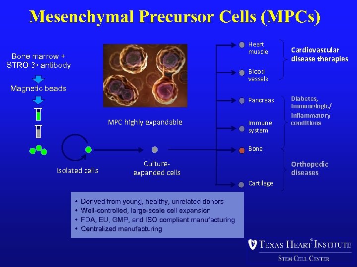 Mesenchymal Precursor Cells (MPCs) Heart muscle Bone marrow + STRO-3+ antibody Cardiovascular disease therapies