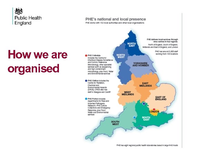 How we are organised 