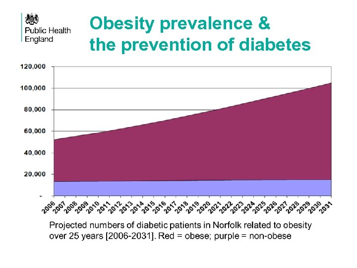 Obesity prevalence & the prevention of diabetes 