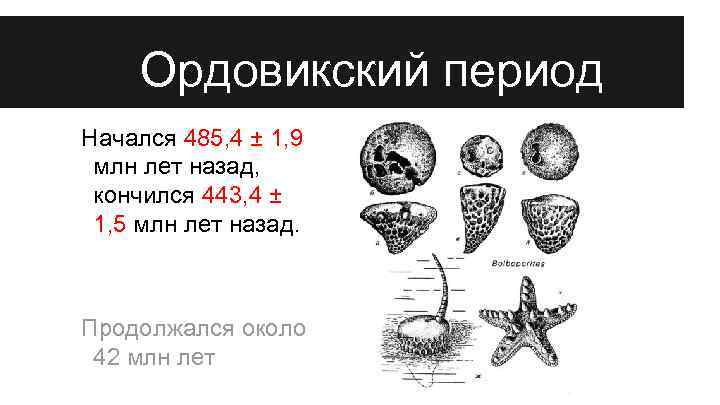 Ордовикский период Начался 485, 4 ± 1, 9 млн лет назад, кончился 443, 4