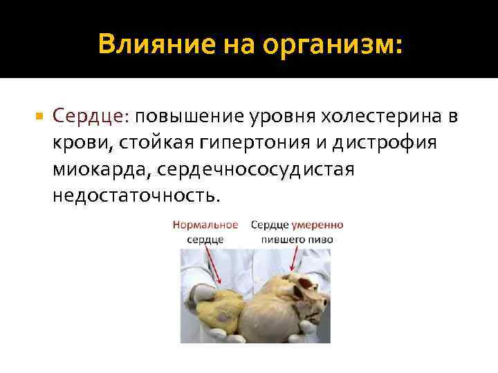 Влияние на организм: Сердце: повышение уровня холестерина в крови, стойкая гипертония и дистрофия миокарда,