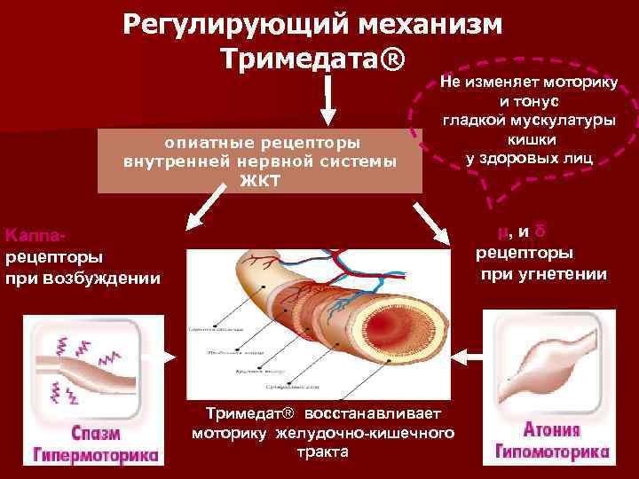 Холецистит у детей презентация