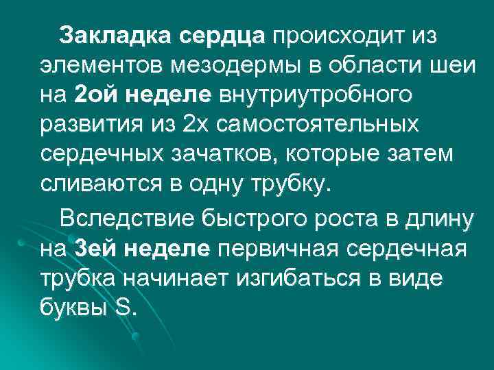 Закладка сердца происходит из элементов мезодермы в области шеи на 2 ой неделе внутриутробного