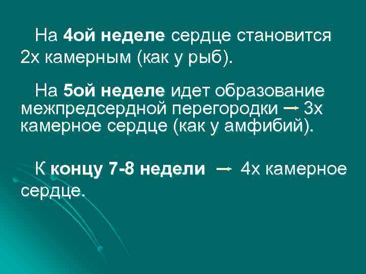 На 4 ой неделе сердце становится 2 х камерным (как у рыб). На 5