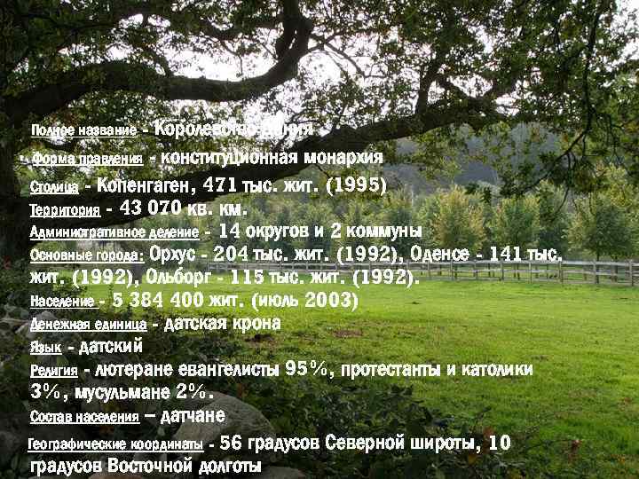 - Королевство Дания Форма правления - конституционная монархия Столица - Копенгаген, 471 тыс. жит.