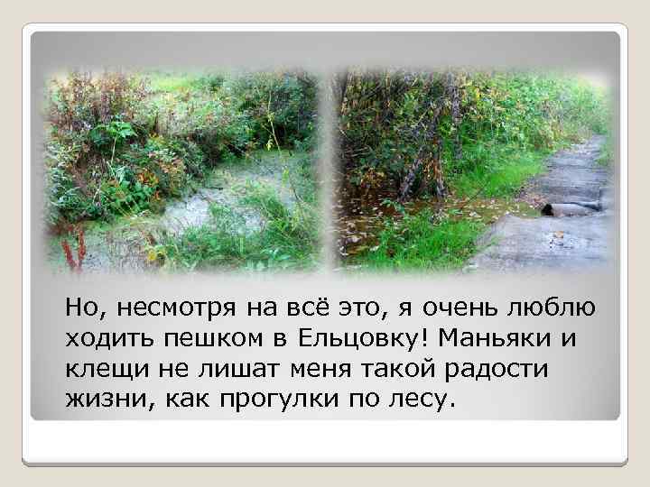 Но, несмотря на всё это, я очень люблю ходить пешком в Ельцовку! Маньяки и