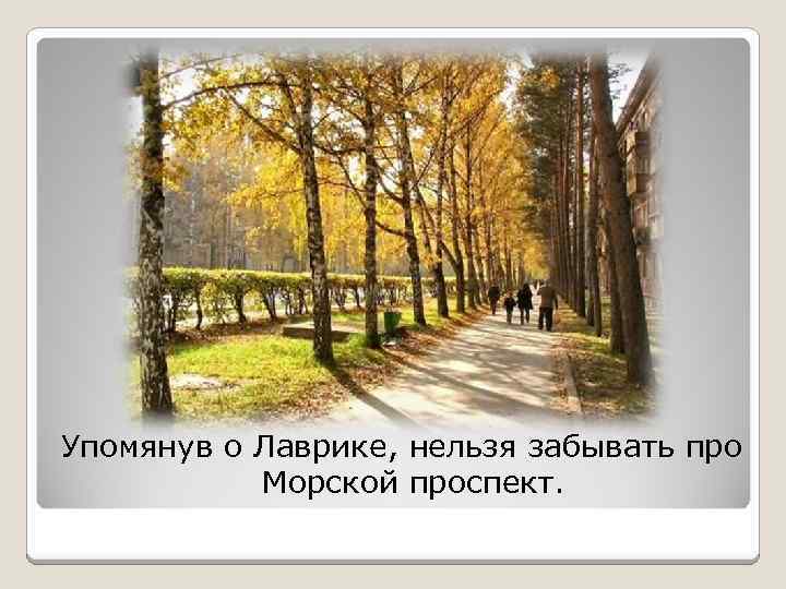Упомянув о Лаврике, нельзя забывать про Морской проспект. 
