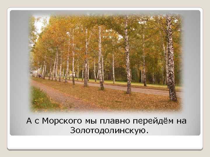 А с Морского мы плавно перейдём на Золотодолинскую. 