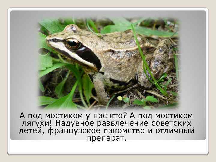 А под мостиком у нас кто? А под мостиком лягухи! Надувное развлечение советских детей,