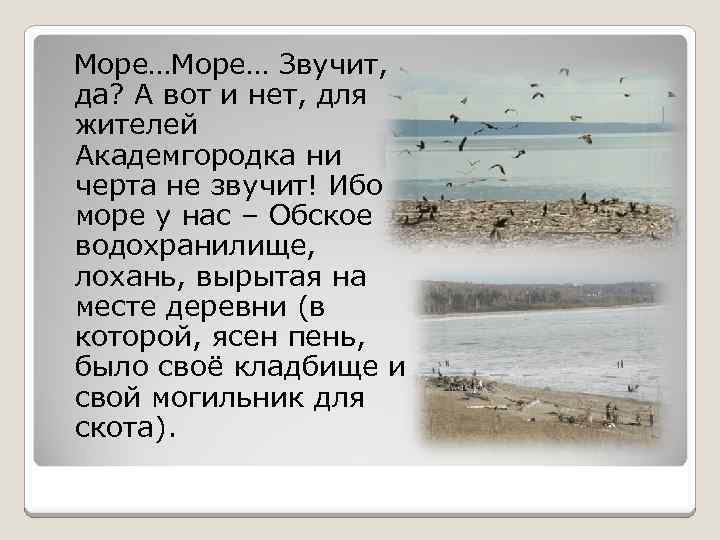 Море… Звучит, да? А вот и нет, для жителей Академгородка ни черта не звучит!